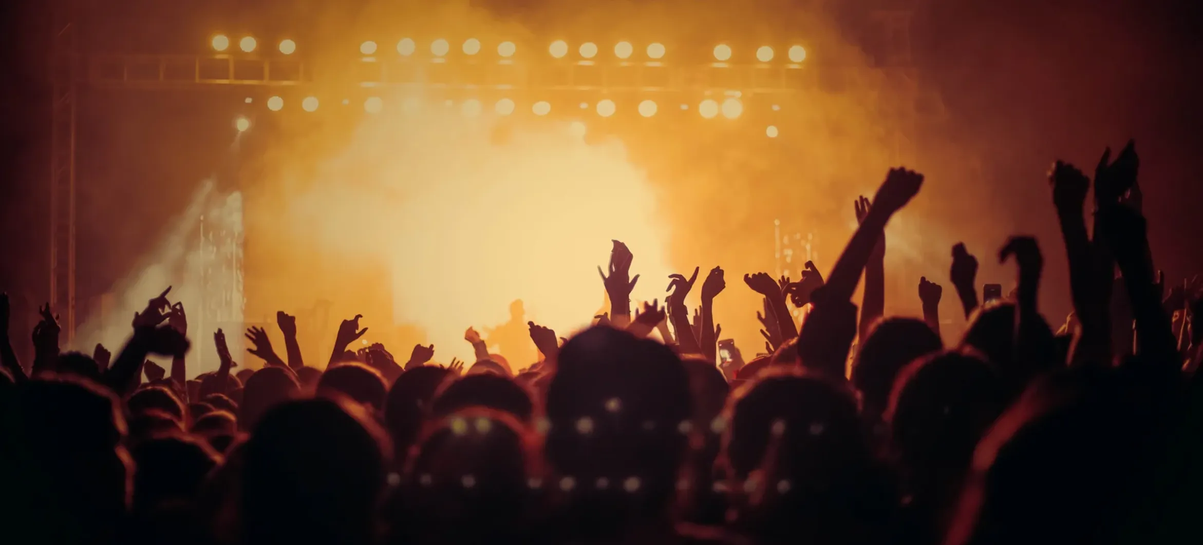 concert with full of people.